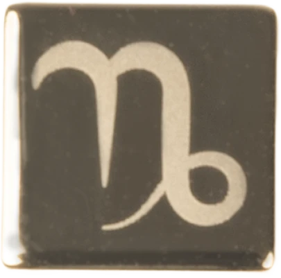 Picture of Jooly Charms Zodiac Steinbock