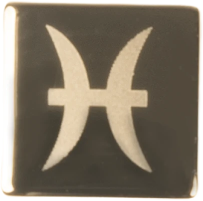 Picture of Jooly Charms Zodiac Fische