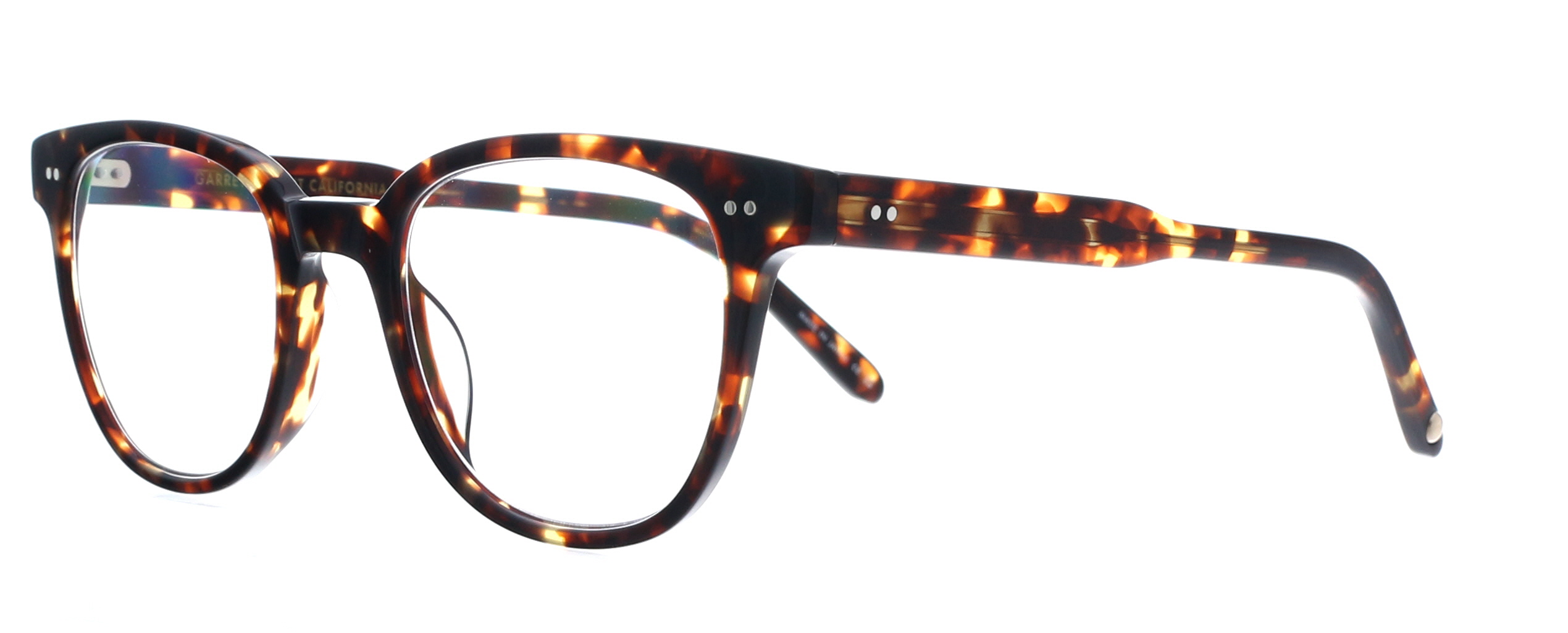 Picture of Garrett Leight Embury